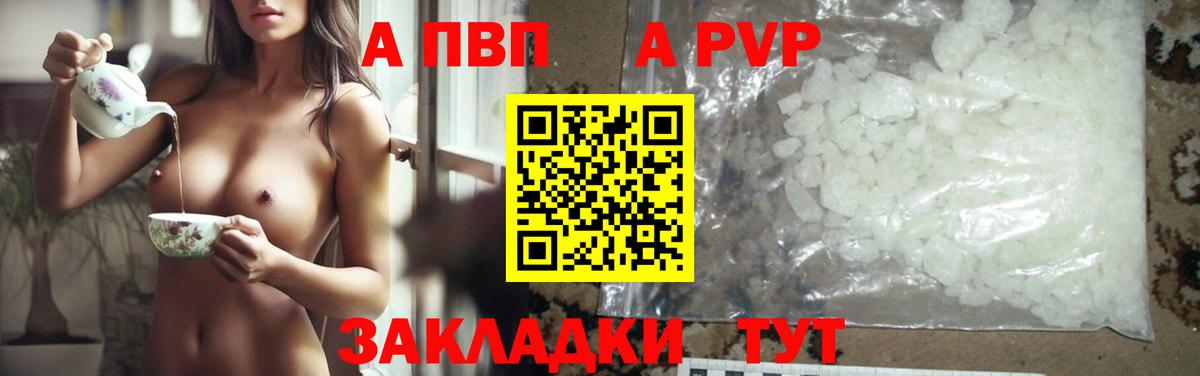 A-PVP СК КРИС Семилуки
