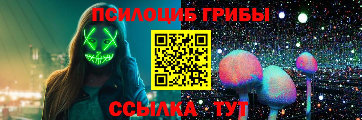 Псилоцибиновые грибы Psilocybe  Вход с VPN  Семилуки 